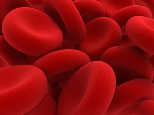 Bloedplaatjes/HDL-C ratio geassocieerd met hogere mate bloedeosinofielen