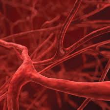 Hydroxychloroquine verlaagt cholesterol en HbA1c bij RA en SLE