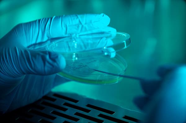 Diabetic foot ulcers heal quickly with nitric oxide technology