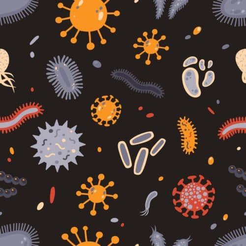 Hoe vaak zullen COVID-19 vaccins aangepast moeten worden?