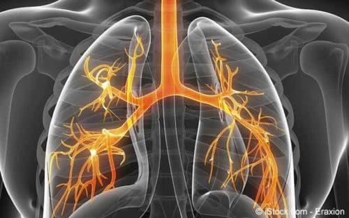MNP’s beïnvloeden barrièrefunctie bronchiale epitheelcellen bij COPD