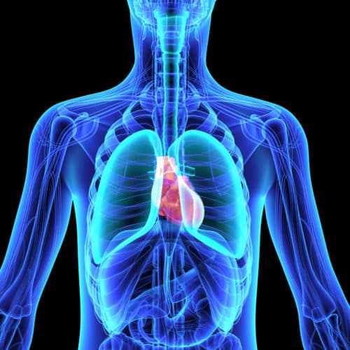 Longfibrose wordt vaak laat gediagnosticeerd