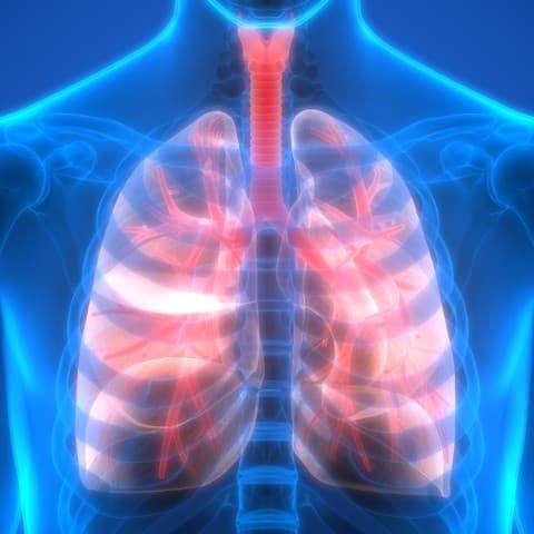 Nieuw antilichaam-geneesmiddelconjugaat toont potentieel bij HER2+-NSCLC