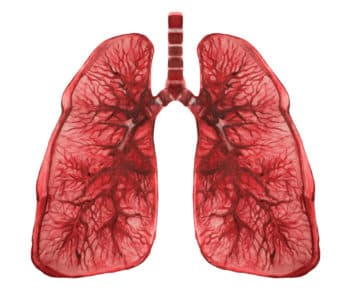 ERBB4-mutaties voorspellen respons op checkpointremmers bij NSCLC