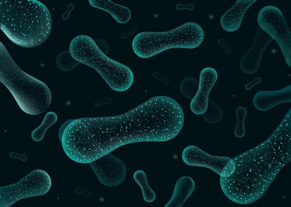 Mogelijke rol voor pro-/prebiotica en yoghurt bij het vóórkomen van COPD