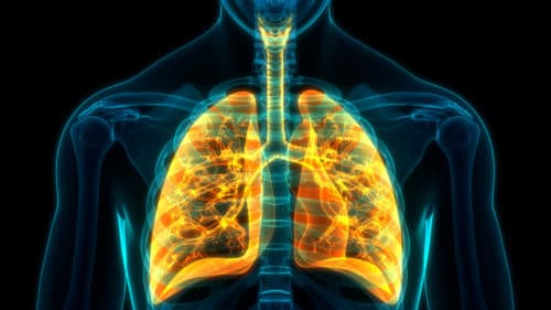 Nieuwe biomarker als voorspeller voor verlies longfunctie bij astma