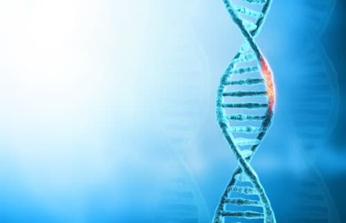 Kan ctDNA-biomarker de PD-(L)1-respons voorspellen?