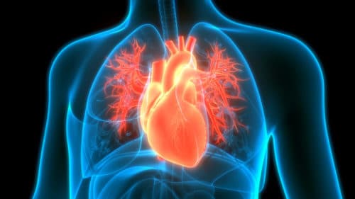 SLE, GPA en RA: verhoogd risico op cardiovasculaire sterfte