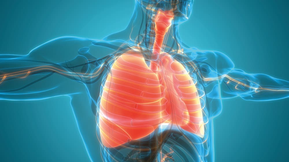 "De bronchiëctasiepatiënt in de dagelijkse praktijk", het live webinar van 29 juni jl. gemist?