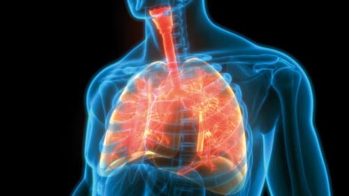 Longrevalidatie bij ernstig COPD