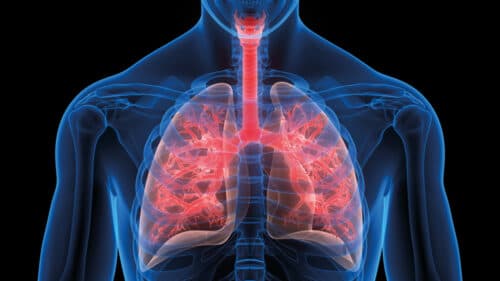 Endo-echografie bij de diagnose en stadiëring van niet-kleincellig longcarcinoom
